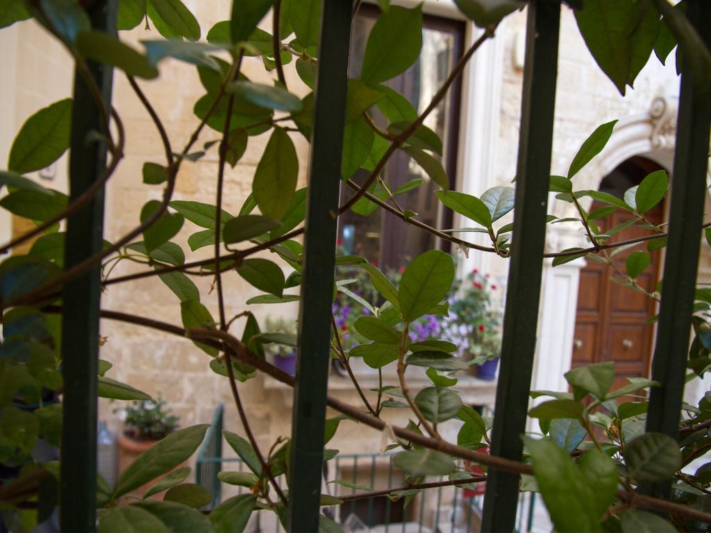 B&B Corte Dell' Idume Lecce Exterior foto