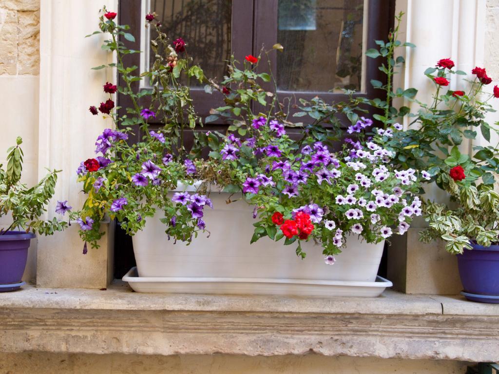 B&B Corte Dell' Idume Lecce Exterior foto